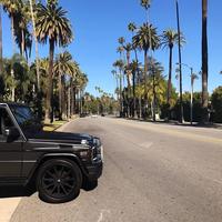 Отзыв от Карим - DTV виза