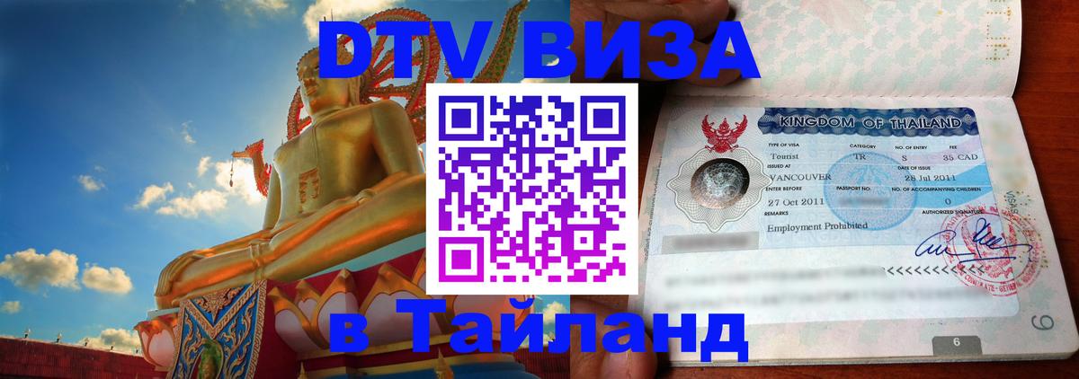 Оформление DTV визы под ключ: стоимость и тарифы, только загранпаспорт - Вена  10.01.2026 